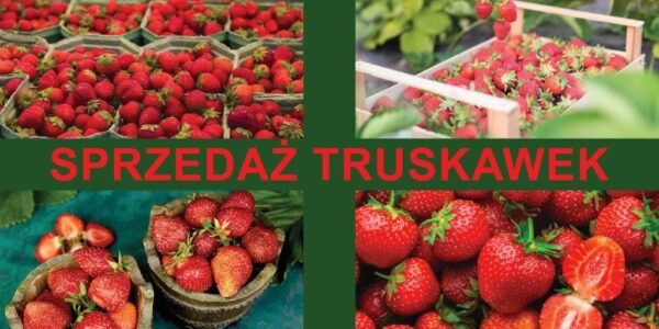 Baner Reklamowy 2 x 1 m - Sprzedaż Warzyw - Baner Premium - Mocny !