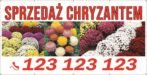 Baner Reklamowy 2 x 1 m -Chryzantemy - Baner Premium - Mocny !