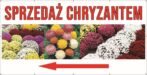 Baner Reklamowy 2 x 1 m -Chryzantemy - Baner Premium - Mocny !