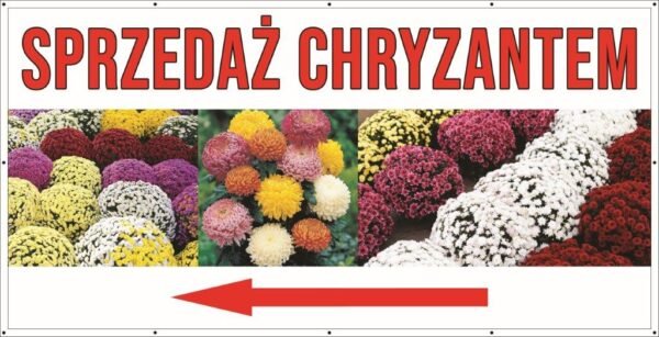 Baner Reklamowy 2 x 1 m -Chryzantemy - Baner Premium - Mocny !