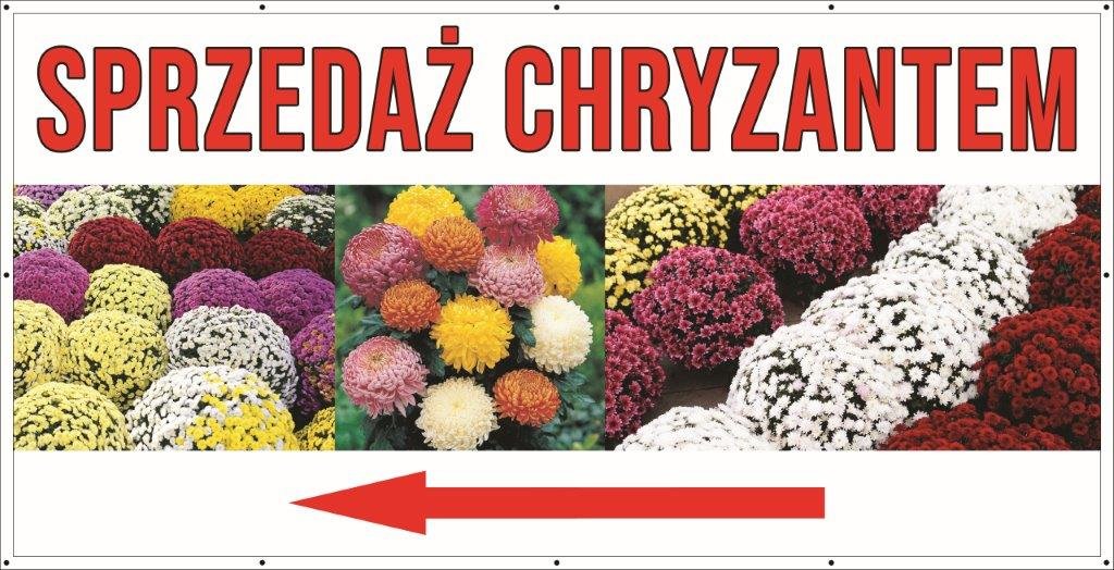 Baner Reklamowy 2 x 1 m -Chryzantemy - Baner Premium - Mocny !