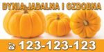 Baner Reklamowy 2 x 1 m -Sprzedaż Dyni - Baner Premium - Mocny !