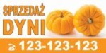 Baner Reklamowy 2 x 1 m -Sprzedaż Dyni - Baner Premium - Mocny !