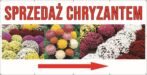 Baner Reklamowy 2 x 1 m -Chryzantemy - Baner Premium - Mocny !