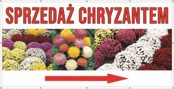 Baner Reklamowy 2 x 1 m -Chryzantemy - Baner Premium - Mocny !
