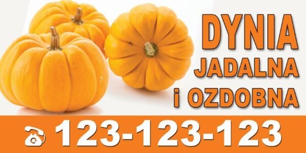 Baner Reklamowy 2 x 1 m -Sprzedaż Dyni - Baner Premium - Mocny !