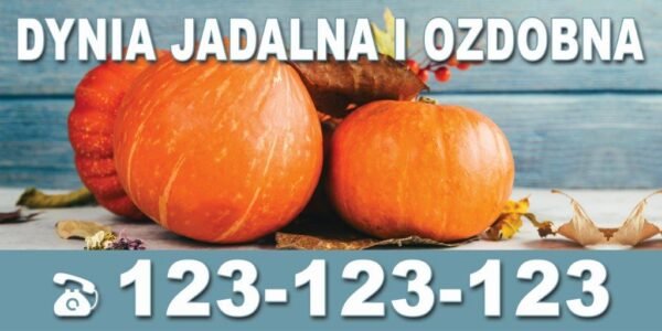 Baner Reklamowy 2 x 1 m -Sprzedaż Dyni - Baner Premium - Mocny !