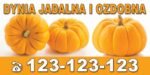Baner Reklamowy 2 x 1 m -Sprzedaż Dyni - Baner Premium - Mocny !